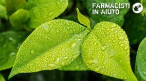 Farmacisti in Aiuto