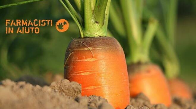 Piccoli studenti alla scoperta dell’ambiente e dei prodotti della terra: è partito nell’I.C. Maccarese il progetto “Natura inclusiva”