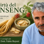 Le virtù del ginseng